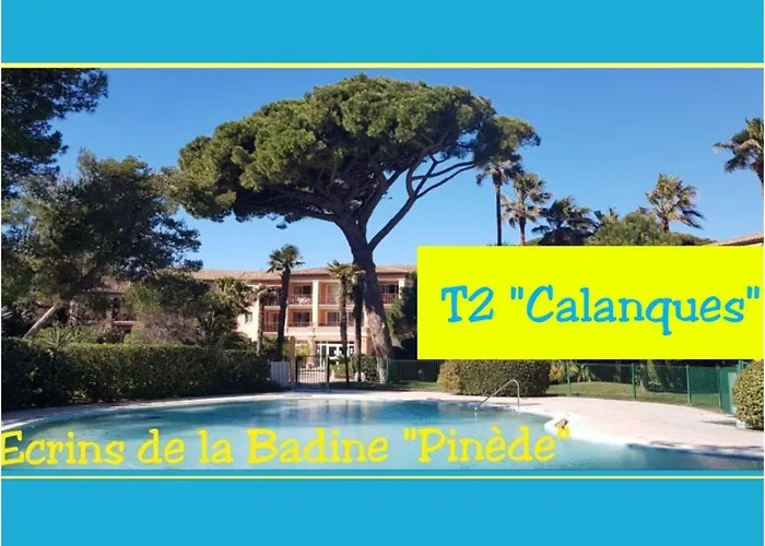 Ecrins De La Badine- Pinede