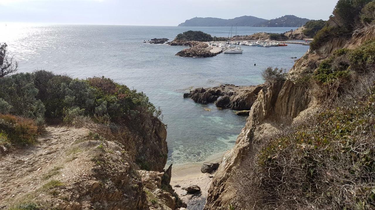 Ecrins De La Badine- Pinede Hyeres