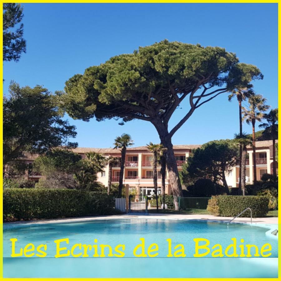 Ecrins De La Badine- Pinede